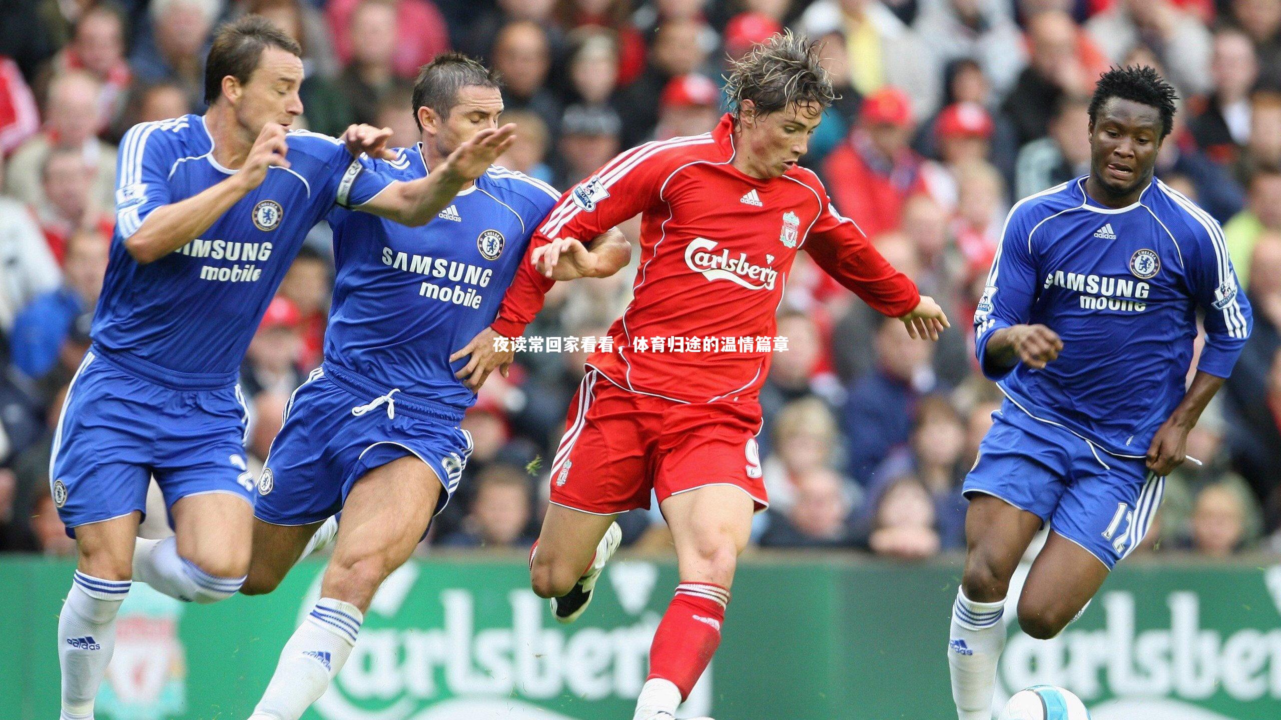 夜读常回家看看，体育归途的温情篇章