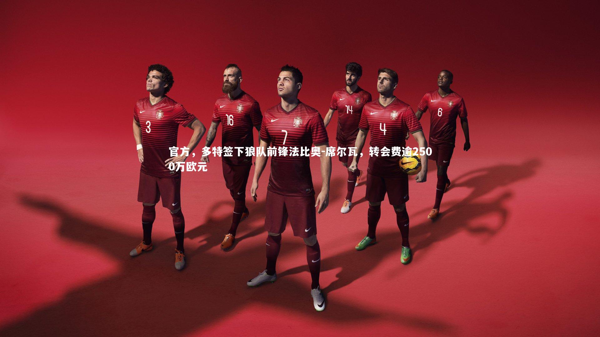 ng体育平台-官方，多特签下狼队前锋法比奥-席尔瓦，转会费逾2500万欧元