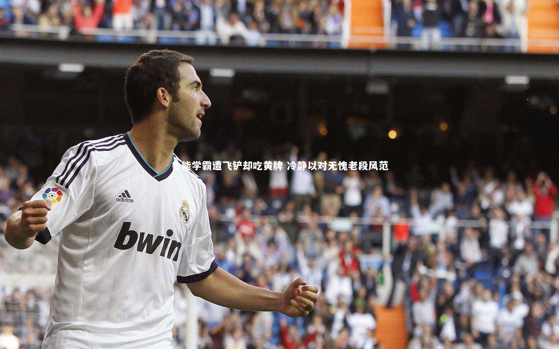 ng体育平台_鲁能学霸遭飞铲却吃黄牌 冷静以对无愧老段风范